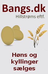 Bangs.dk