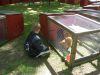 Filnavn=DSC07141.JPG
Filstørrelse=219KiB
Dimensioner=1024x768
Dato for tilføjelse=%09 %512, %2011 DSC07141.JPG