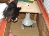 DSC07470_1.JPG
