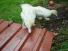 DSC00444.JPG