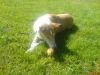 DSC00256.JPG