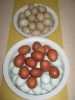 IMG_0363_28Medium29.JPG