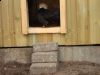 Filnavn=DSC03158.JPG
Filstørrelse=87KiB
Dimensioner=1024x768
Dato for tilføjelse=%24 %857, %2010 DSC03158.JPG
