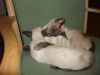 DSC03176.JPG