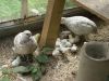 DSC03369.JPG