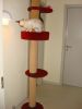 DSC03584.JPG