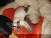 DSC03909.JPG