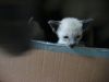 DSC03993.JPG