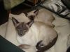 DSC04434.JPG