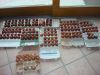 DSC04712.JPG