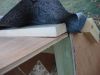 Filnavn=DSC04790.JPG
Filstørrelse=91KiB
Dimensioner=1024x768
Dato for tilføjelse=%08 %256, %2012 DSC04790.JPG