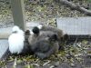 P1050532_small~0.JPG