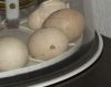 026_(3)~0.JPG