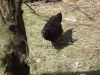 DSCF0029.JPG