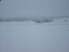 Nytår_2010_007.jpg