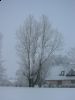 Nytår_2010_020.jpg