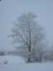 Nytår_2010_026.jpg