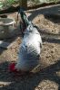 Uge_14_027.jpg