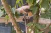 Uge_26_054.jpg