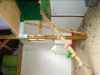 h_ns_25__august_08_009.jpg