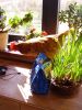 April_2012_006.JPG