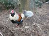 feb__og_marts_2013_013.JPG