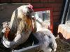marts_2013_030.JPG