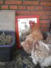 marts_2013_034.JPG