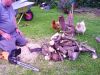sommer_2011_007.JPG