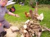 sommer_2011_008.JPG