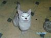BILD4398.JPG