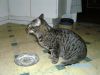 BILD4402.JPG