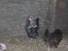 DSCN9472.JPG