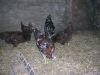 DSCN9474.JPG