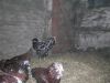 DSCN9476.JPG