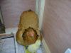 DSC00900-2.JPG