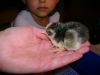DSC01571.JPG