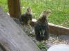 DSC01655.JPG
