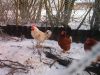februar2012_040.JPG