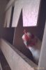 IMAG0125.jpg