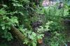 Filnavn=DSC02375.JPG
Filstørrelse=192KiB
Dimensioner=1024x682
Dato for tilføjelse=%23 %590, %2011 DSC02375.JPG