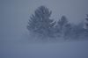 Filnavn=A_misty_mysterious_18_Dec_afternoon.JPG
Filstørrelse=41KiB
Dimensioner=1024x685
Dato for tilføjelse=%02 %863, %2011 A_misty_mysterious_18_Dec_afternoon.JPG
