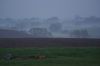 DSC02074.JPG