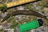 Filnavn=Limax_Maximus_-_plettet_gråsnegl.JPG
Filstørrelse=249KiB
Dimensioner=930x623
Dato for tilføjelse=%28 %855, %2009 Limax_Maximus_-_plettet_gråsnegl.JPG