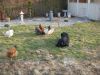 DSCN1291.JPG