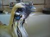 DSC00273.JPG