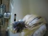 DSC00274.JPG