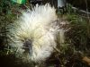 DSC00282.JPG