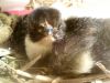 DSC00328.JPG