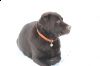 fell_sne_18-01-10_021.jpg